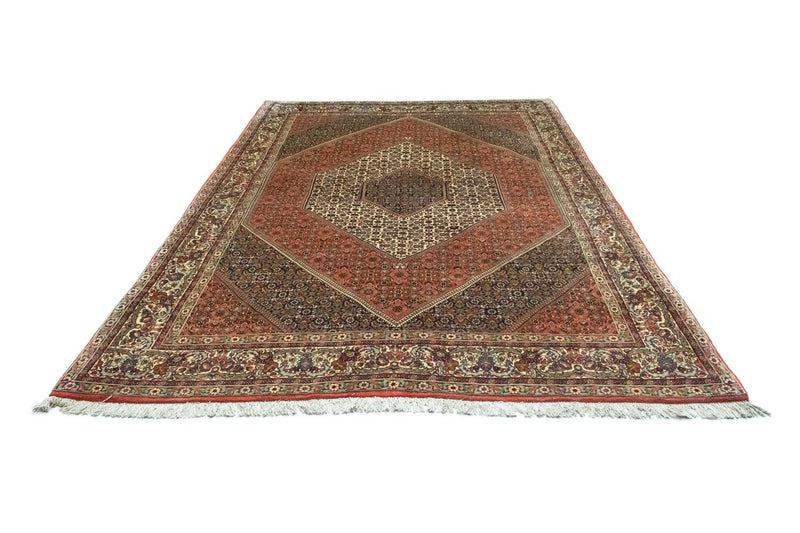 Bidjar Tapete 300x202cm - Tapete persa