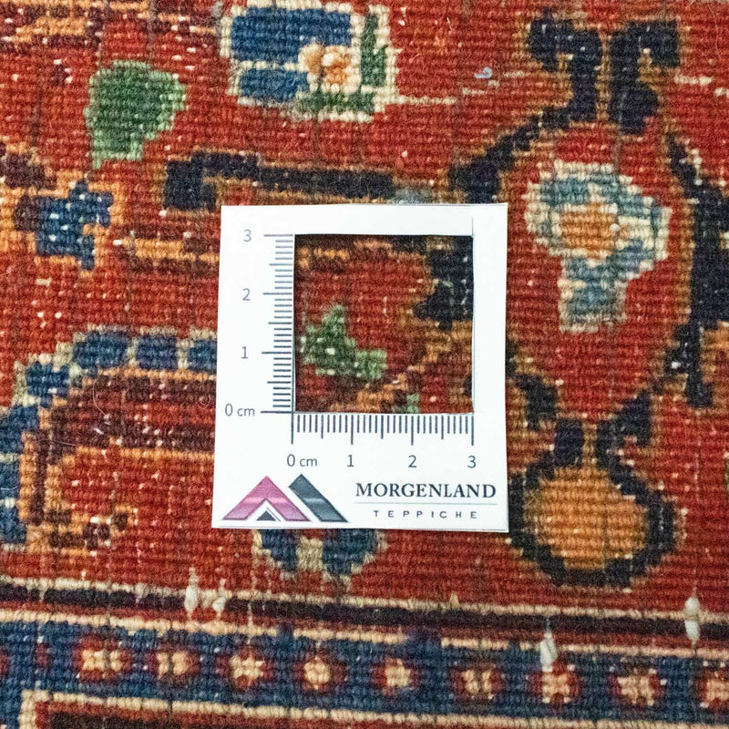 Moud Tapete 305x210cm - Tapete persa