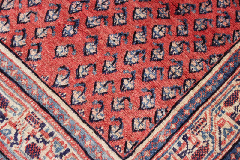 Mir Tapete 268x127cm - Tapete persa