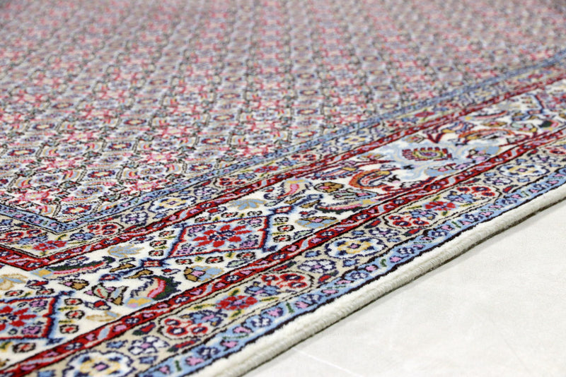 Moud Tapete 247x190cm - Tapete persa