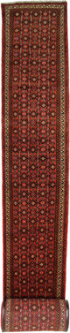 Hosseinabad Tapete 980x80cm - Tapete persa