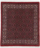Bidjar - Takab Tapete 100x110cm - Tapete persa