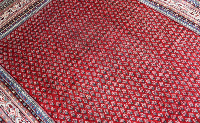 Sarouk Tapete 317x220cm - Tapete persa