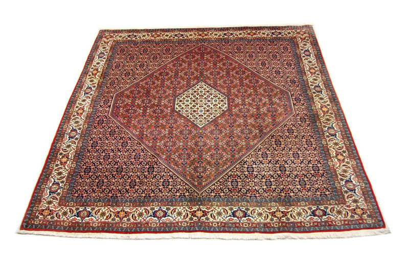 Bidjar Tapete 260x247cm - Tapete persa