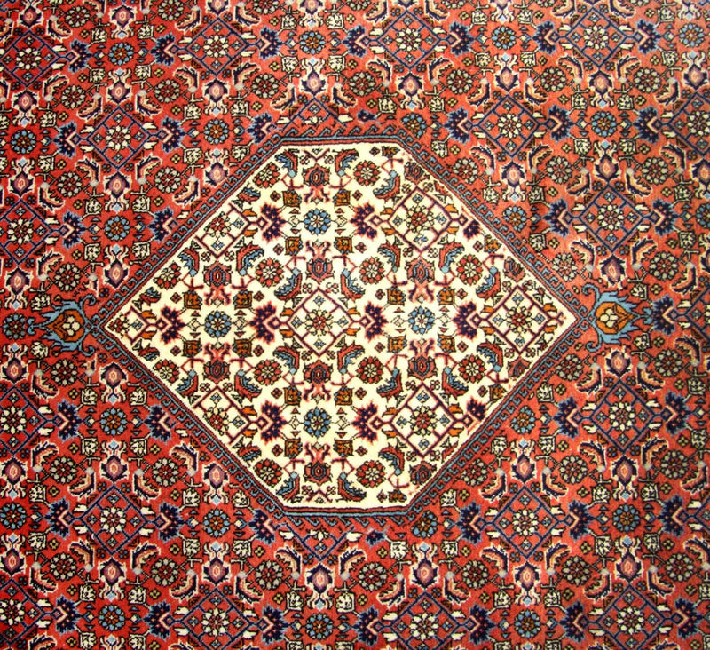 Bidjar Tapete 260x247cm - Tapete persa