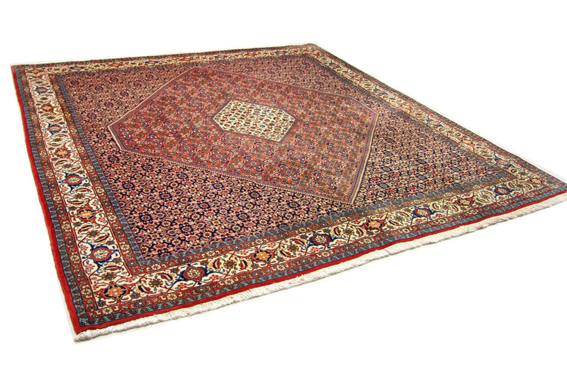Bidjar Tapete 260x247cm - Tapete persa