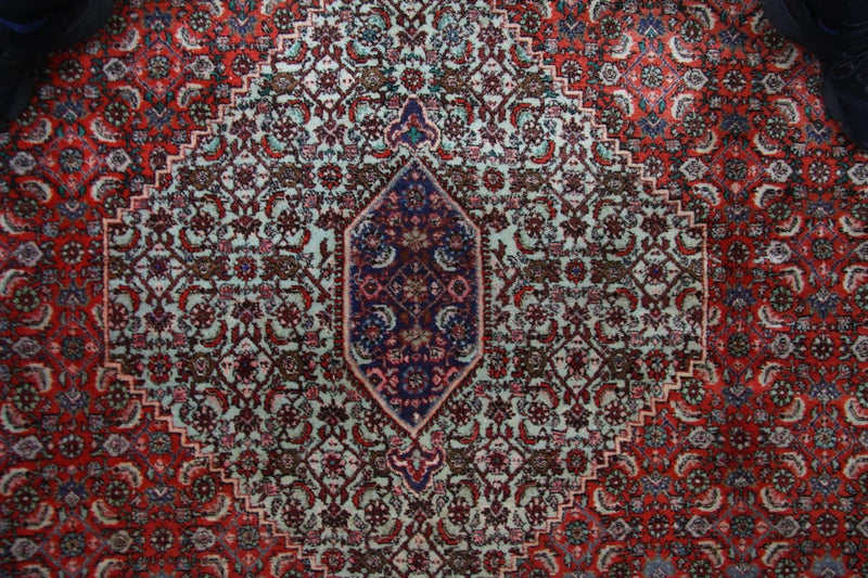 Bidjar Tapete 335x245cm - Tapete persa