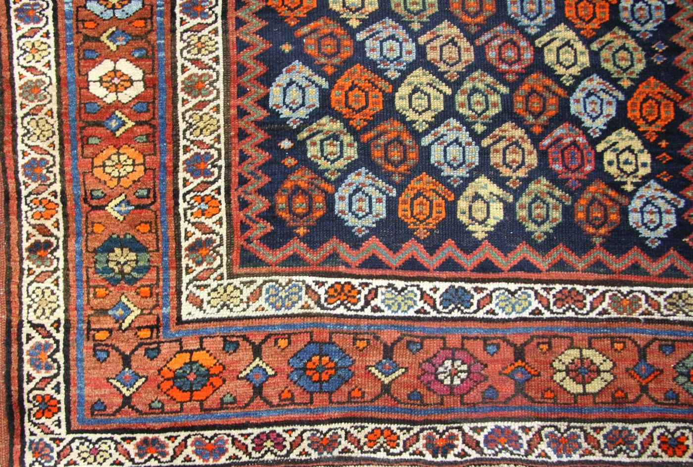 Shirvan Tapete 440x113cm - Tapete Oriental