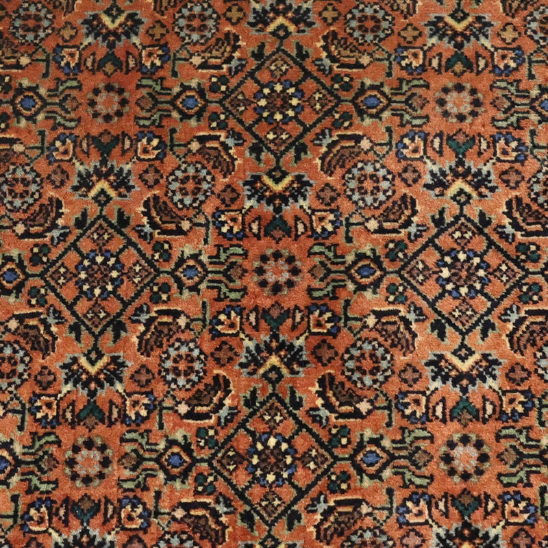 Bidjar Tapete 144x71cm - Tapete persa