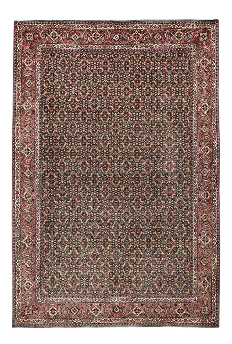 Bidjar Tapete 301x203cm - Tapete persa