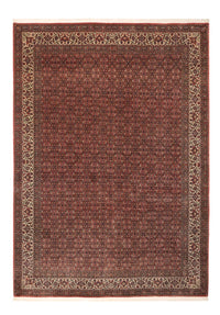 Bidjar Tapete 256x350cm - Tapete persa – product image