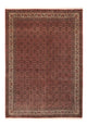 Bidjar Tapete 256x350cm - Tapete persa