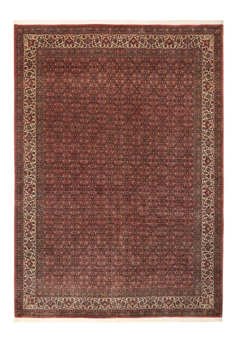 Bidjar Tapete 256x350cm - Tapete persa