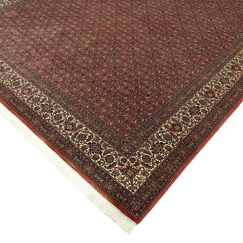 Bidjar Tapete 256x350cm - Tapete persa