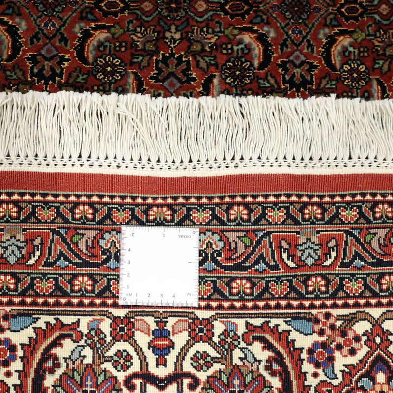 Bidjar Tapete 256x350cm - Tapete persa