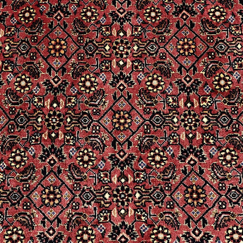 Bidjar Tapete 204x152cm - Tapete persa