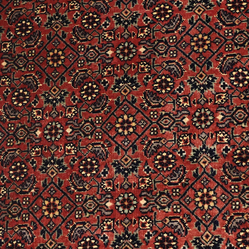 Bidjar Tapete 89x148cm - Tapete persa