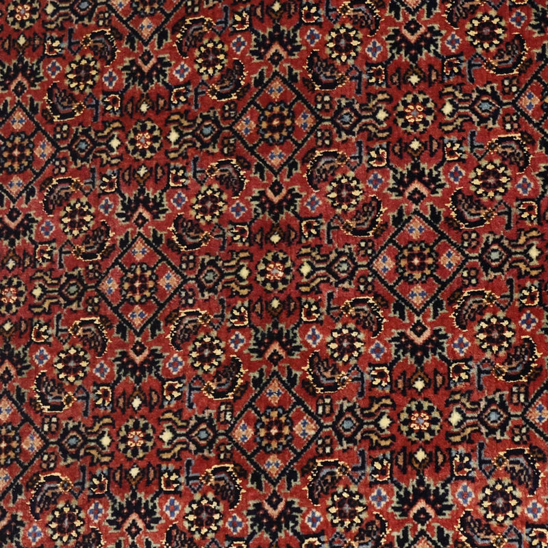 Bidjar Tapete 148x91cm - Tapete persa