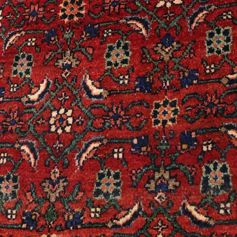 Bidjar Tapete 288x168cm - Tapete persa
