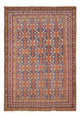 Ardabil Tapete 253x166cm - Tapete persa