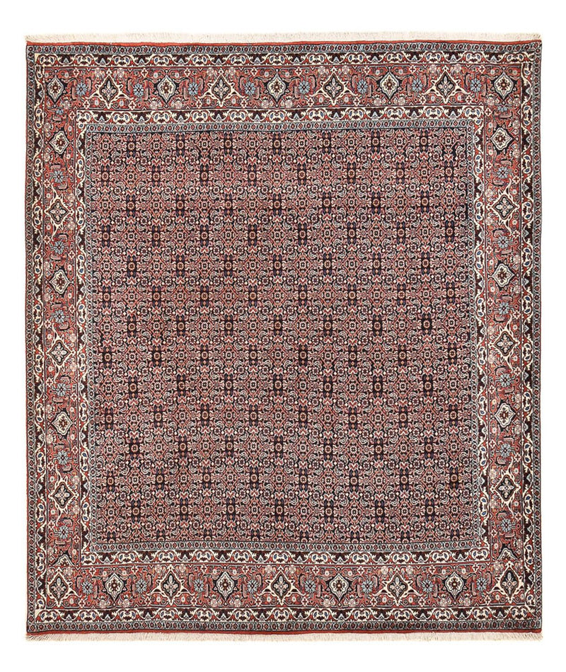 Bidjar Tapete 243x206cm - Tapete persa