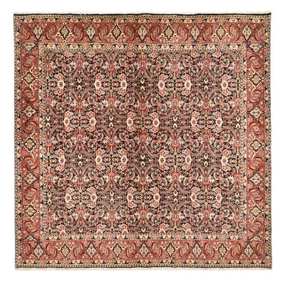 Bidjar Tapete 300x302cm - Tapete persa