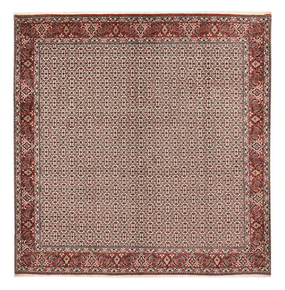 Bidjar Tapete 304x306cm - Tapete persa