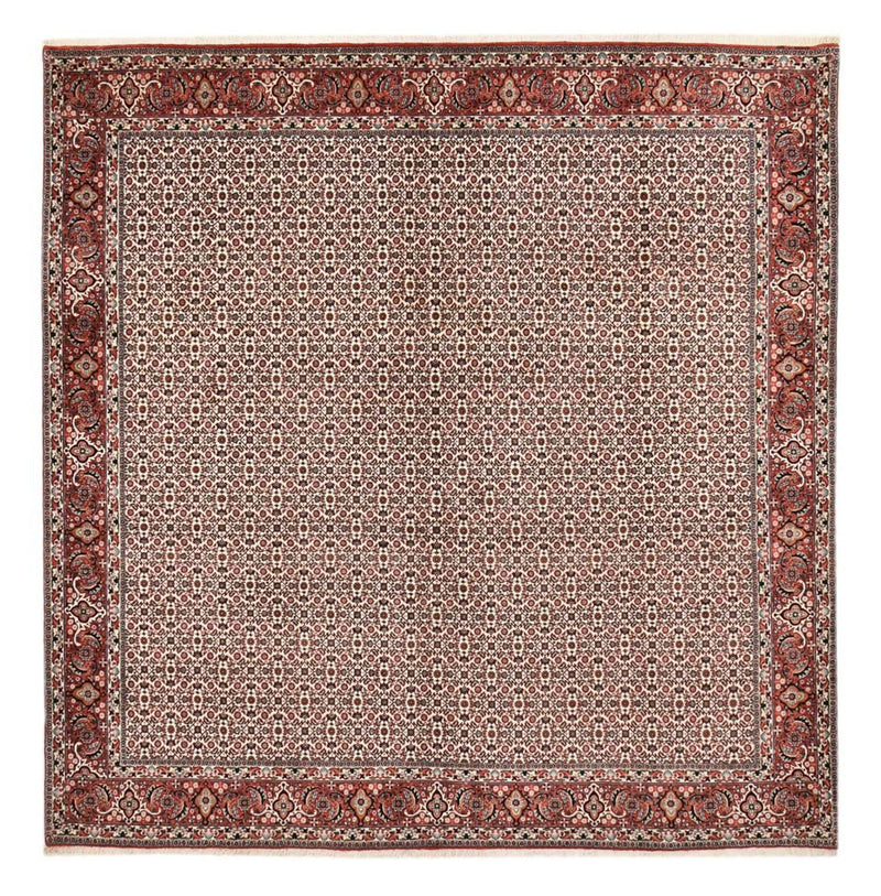 Bidjar Tapete 304x306cm - Tapete persa