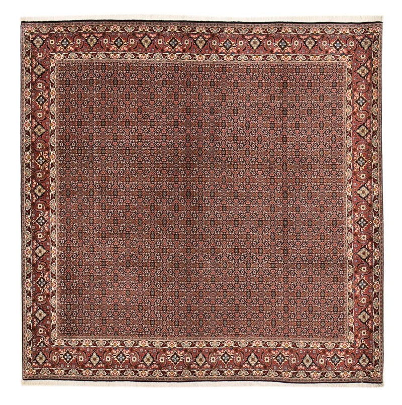 Bidjar Tapete 303x293cm - Tapete persa