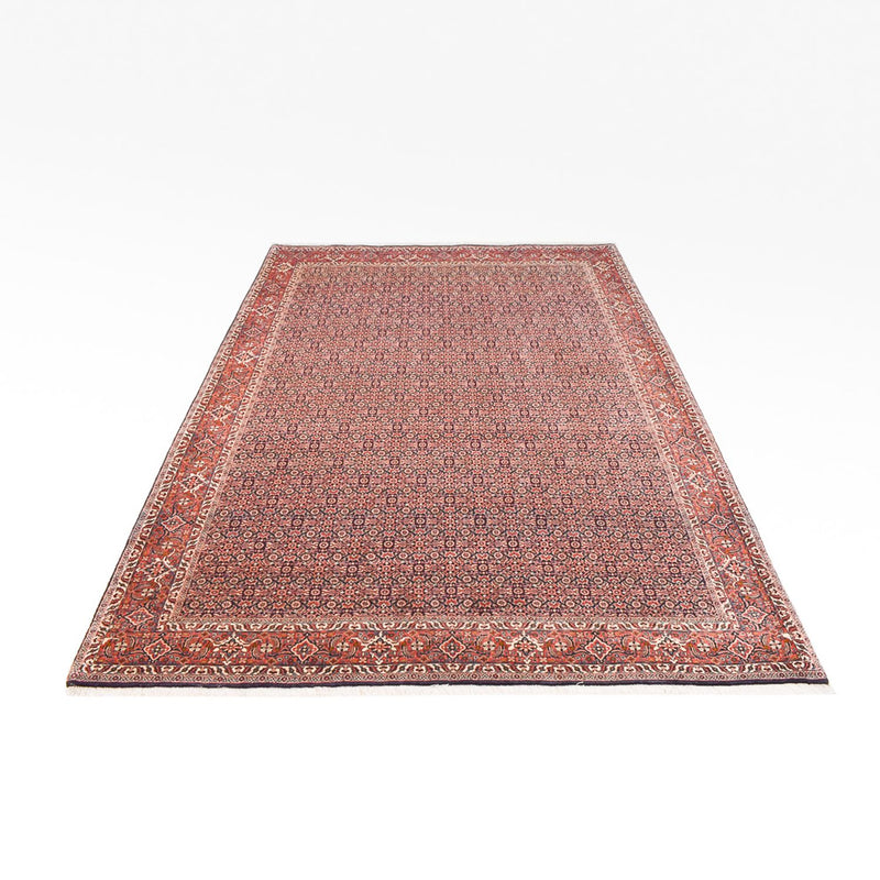 Bidjar Tapete 305x203cm - Tapete persa