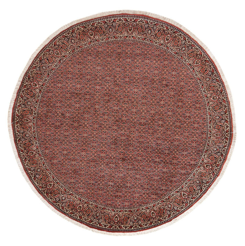 Bidjar Tapete 255x255cm - Tapete persa