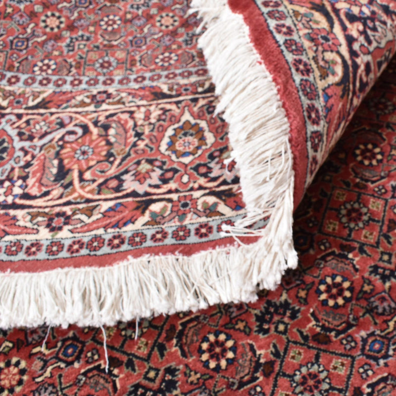 Bidjar Tapete 255x255cm - Tapete persa
