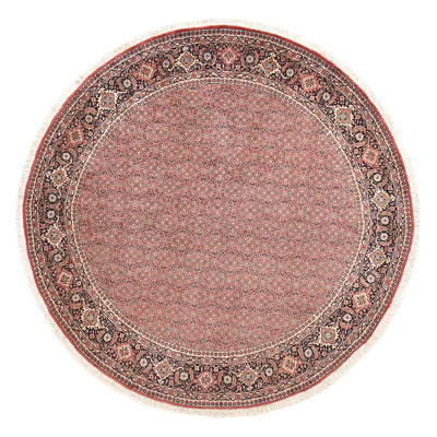 Bidjar Tapete 255x255cm - Tapete persa