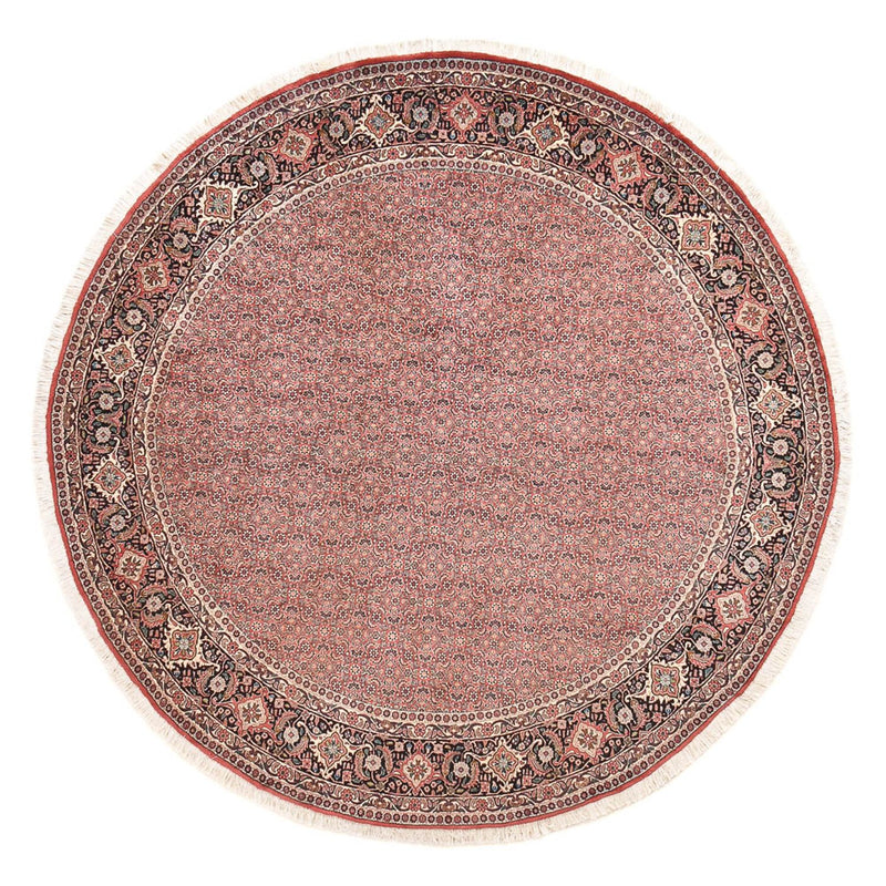 Bidjar Tapete 255x255cm - Tapete persa