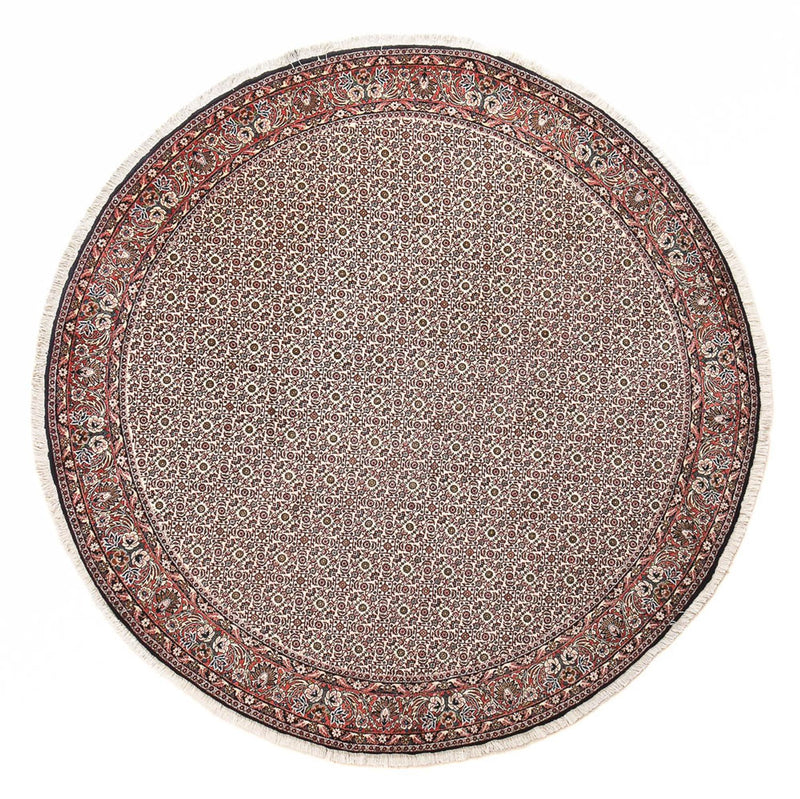 Bidjar Tapete 250x250cm - Tapete persa