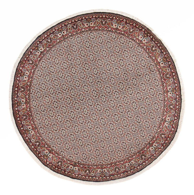 Bidjar Tapete 250x250cm - Tapete persa