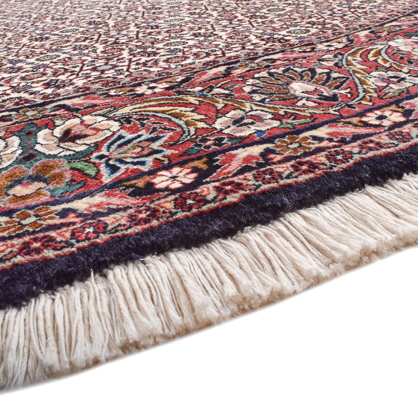 Bidjar Tapete 250x250cm - Tapete persa