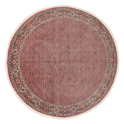 Bidjar Tapete 300x300cm - Tapete persa
