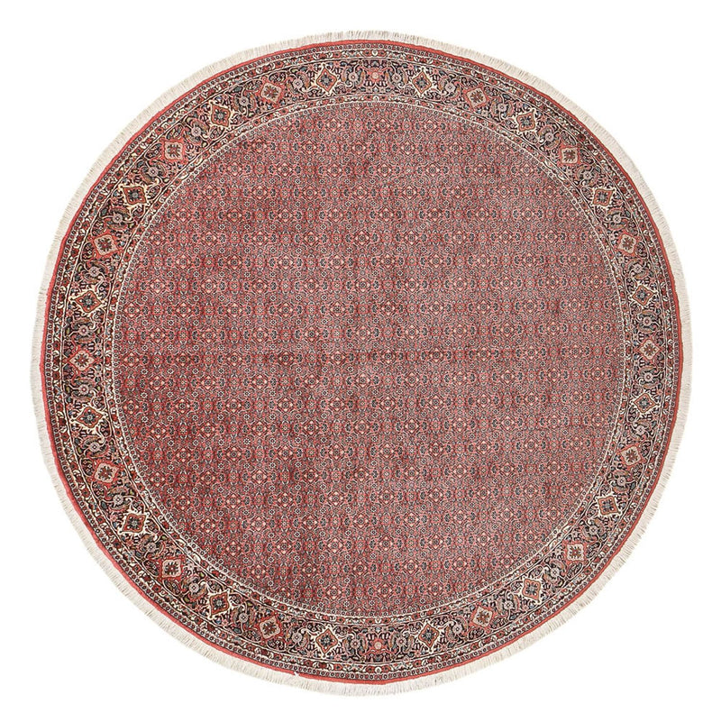 Bidjar Tapete 300x300cm - Tapete persa