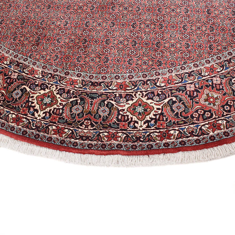 Tapete Persa - Bijar ronda  - 300 x 300 cm - ferrugem