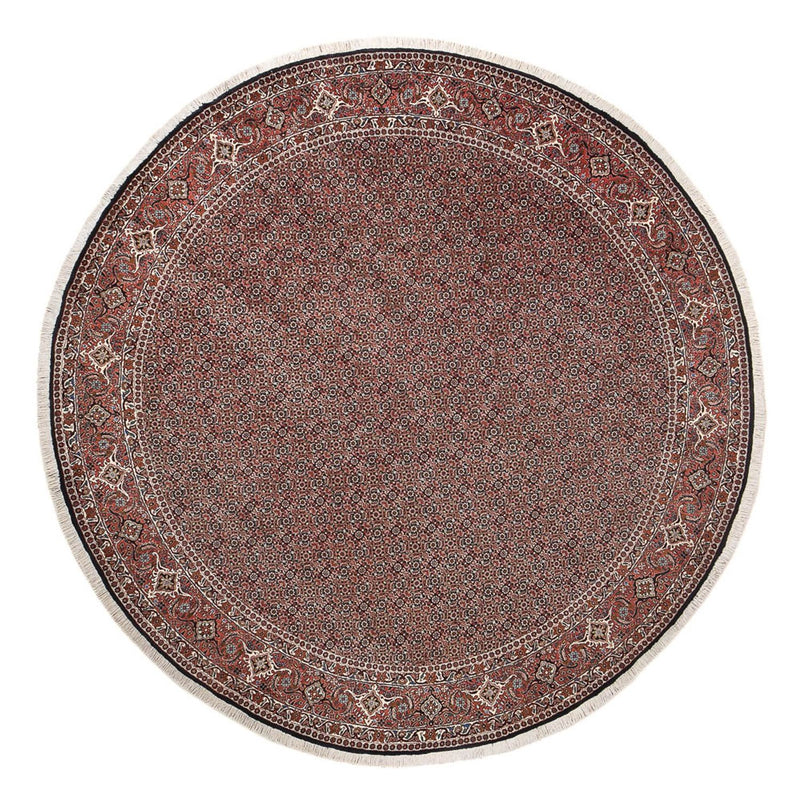 Bidjar Tapete 300x300cm - Tapete persa