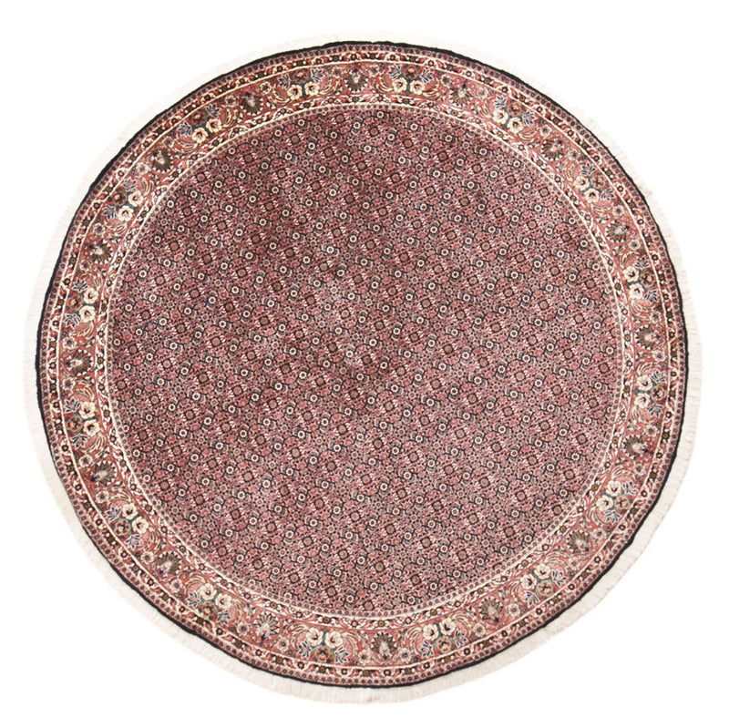 Bidjar Tapete 255x255cm - Tapete persa