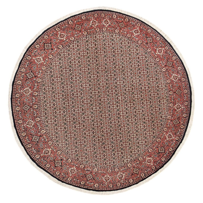 Bidjar Tapete 250x250cm - Tapete persa