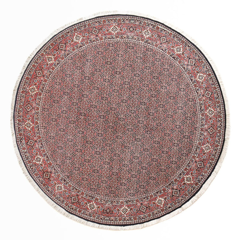 Bidjar Tapete 255x255cm - Tapete persa
