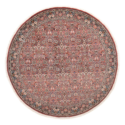 Bidjar Tapete 250x250cm - Tapete persa