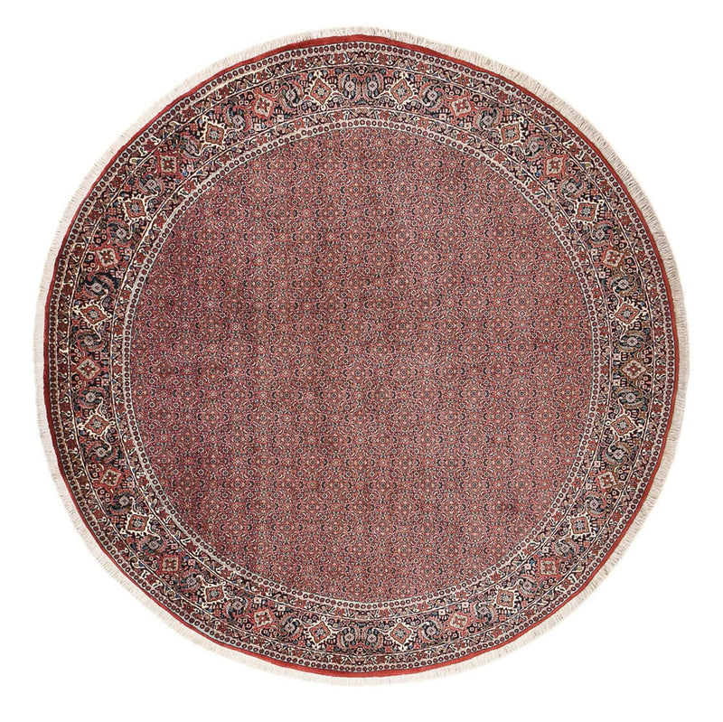 Bidjar Tapete 300x300cm - Tapete persa