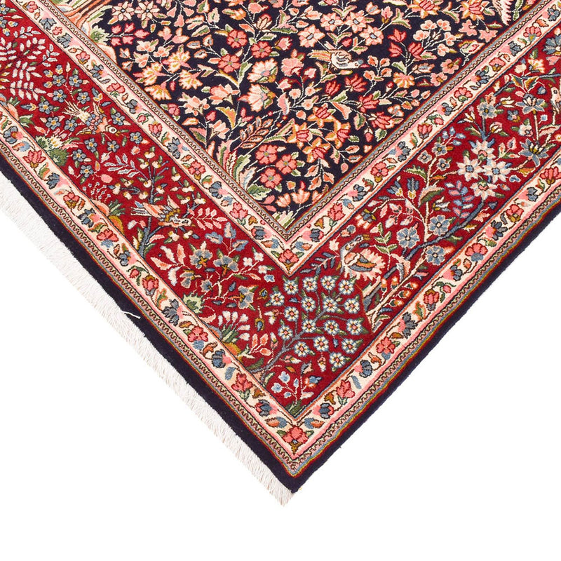 Rafsanjan Tapete 270x183cm - Tapete persa