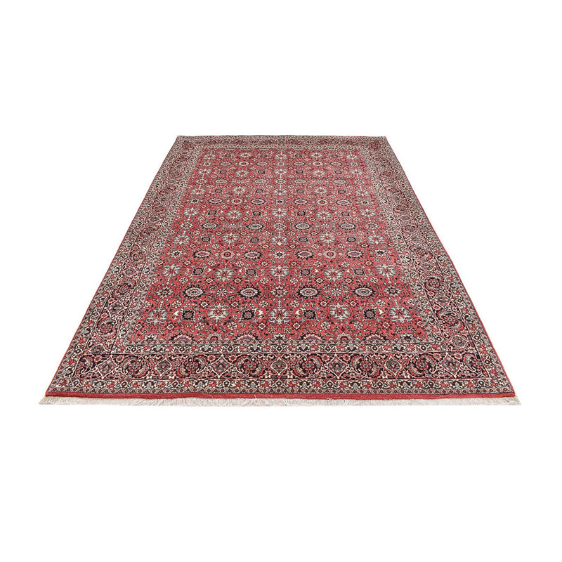 Bidjar Tapete 300x202cm - Tapete persa