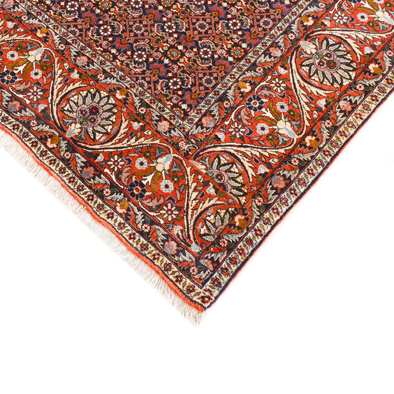 Bidjar Tapete 290x210cm - Tapete persa