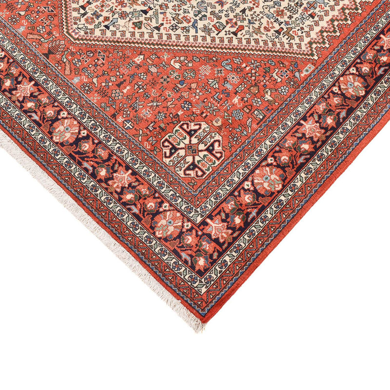Kashkuli Tapete 248x165cm - Tapete persa